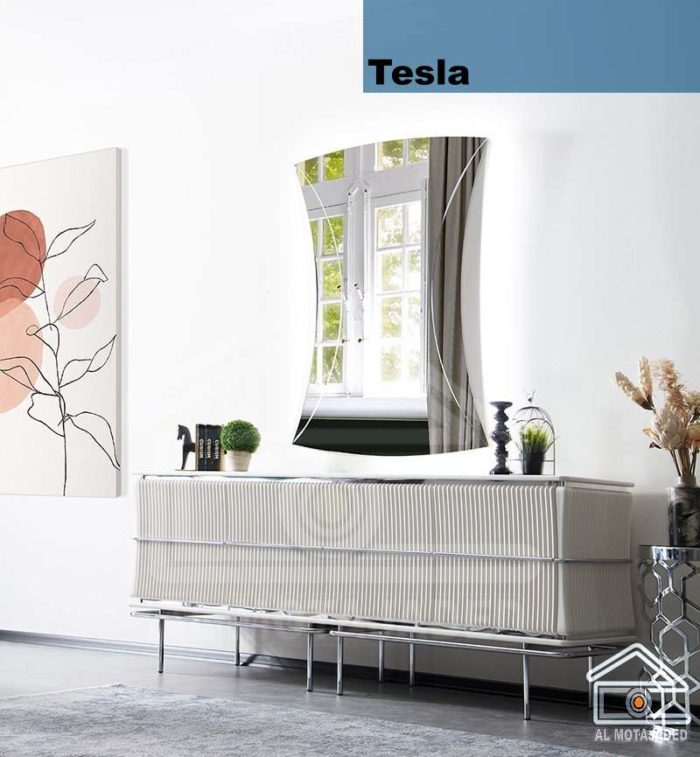 TESLA - Image 2