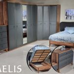 MELIS